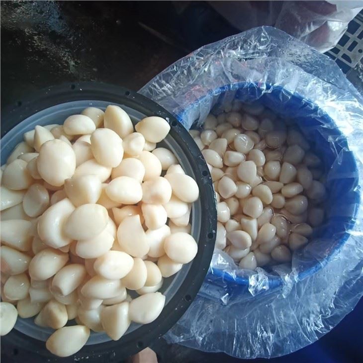Fresh Peeled Garlic In Brine in drum